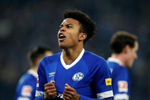 Außenbandriss: Schalke im Abstiegskampf ohne McKennie