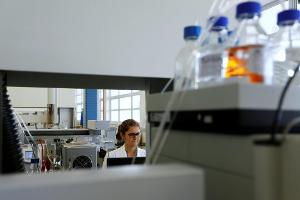 Wälbe vor WM von Doping-Fragen genervt: "Sollten dieses Thema beenden"