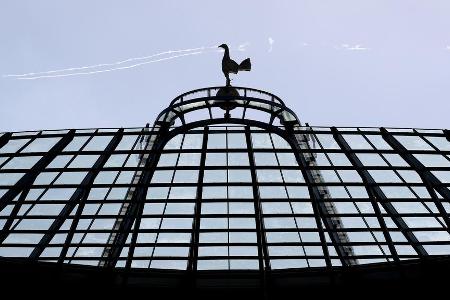 Über allem thront, natürlich, der Hahn, das Wappentier der Spurs. Im Stadion wird es dann wirklich beeindruckend ...