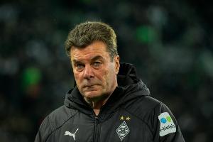 Hecking zeigt Verständnis für Pfiffe: "Brauchen jetzt die Fans"