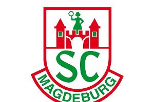 Magdeburger Mertens erleidet Kreuzbandriss