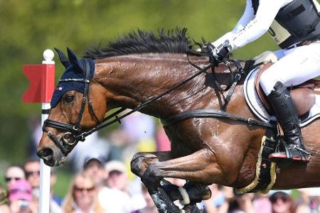 Reiten: FN beschließt Maßnahmen gegen Alkoholmissbrauch und sexuelle Übergriffe Reiten: FN beschließt Maßnahmen gegen Alkoholmissbrauch und sexuelle Übergriffe