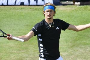 Knieverletzung: Zverev sagt Start im Doppel in Halle ab