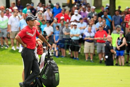 FedExCup: Woods verpasst Qualifikation für Saisonfinale