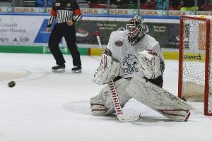 DEL: Umbruch bei den Ice Tigers