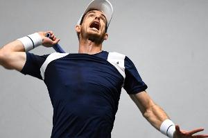 Vor Davis-Cup-Halbfinale gegen Spanien: Britischer Verband verschenkt Tickets