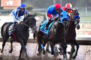 Breeders' Cup: Nächster Todesfall im Santa Anita Park
