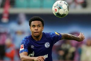 Schalke: McKennie muss nicht operiert werden - Stambouli kehrt nicht vor Winterpause zurück
