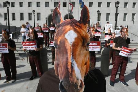 Galopp: Drei weitere tote Pferde im Santa Anita Park