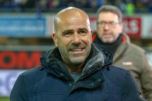 Bosz erwägt Einsatz von Neuzugang Palacios