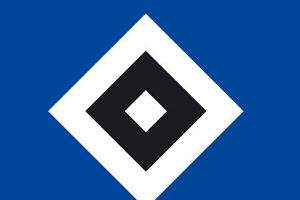 HSV erhält Lizenz auch im Abstiegsfall
