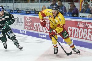 Eishockeyprofi Niederberger protestiert gegen Hamsterkäufe