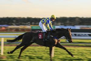 Galopp will Rennbetrieb am 4. Mai wieder starten