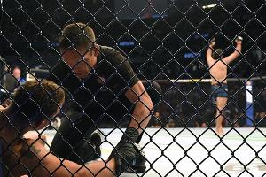 Ab auf die Insel: UFC trägt Kämpfe auf einem Eiland aus