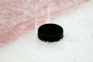 Nach verlängertem Großveranstaltungsverbot: DEB berät mit DEL und DEL2 über Eishockey-Zukunft