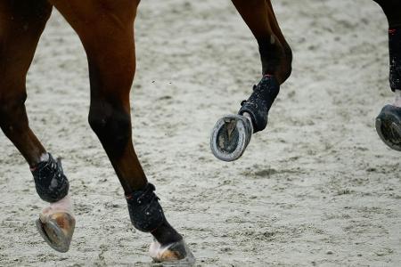 Auch Reitverband in Finanznot: Auch Reitverband in Finanznot: