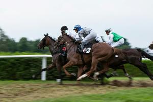 Galopp: Deutsches Derby auf 12. Juli verlegt