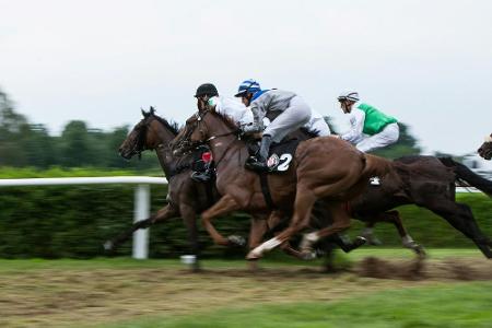Galopp: Deutsches Derby auf 12. Juli verlegt Galopp: Deutsches Derby auf 12. Juli verlegt
