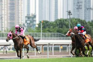 Galopp: Quest the Moon gewinnt Preis der Badischen Wirtschaft