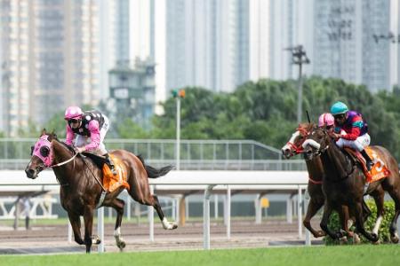 Galopp: Quest the Moon gewinnt Preis der Badischen Wirtschaft Galopp: Quest the Moon gewinnt Preis der Badischen Wirtschaft