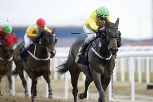 Galopp: Neustart verzögert sich weiter