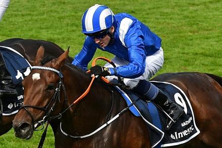 Galopp: He Knows No Fear schreibt Geschichte Galopp: He Knows No Fear schreibt Geschichte