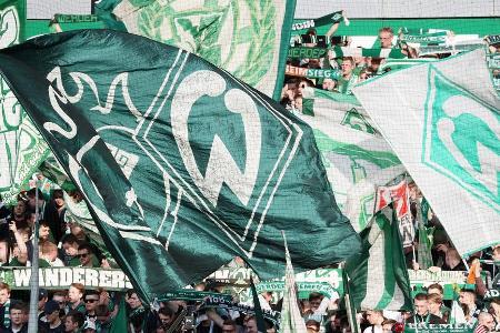 National: 52,90 Mio. Euro | International: 3,02 Mio. Euro