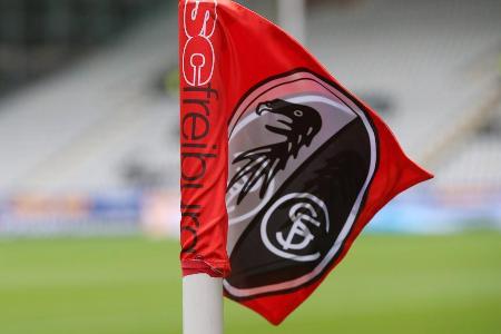 National: 54,09 Mio. Euro | International: 3,67 Mio. Euro