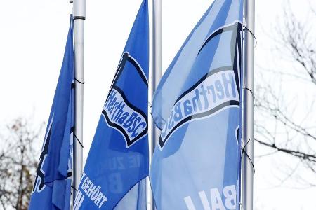 National: 61,97 Mio. Euro | International: 4,54 Mio. Euro