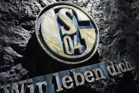 Diese Spieler könnten den FC Schalke 04 verstärken: