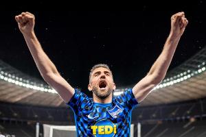 Ibisevic-Transfer zu Schalke 04 perfekt