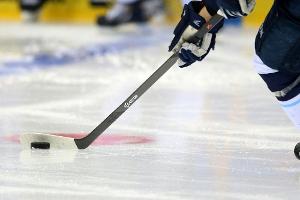 Eisbären holen Angreifer White aus Lettland
