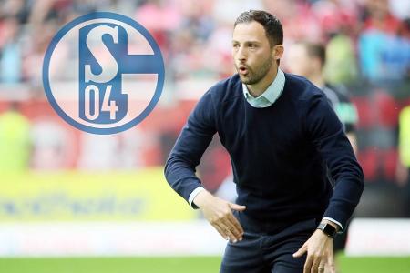 Nach der Entlassung Weinzierls stellten die Schalker Domenico Tedesco als neuen Cheftrainer vor. Der 31-Jährige wird der jün...