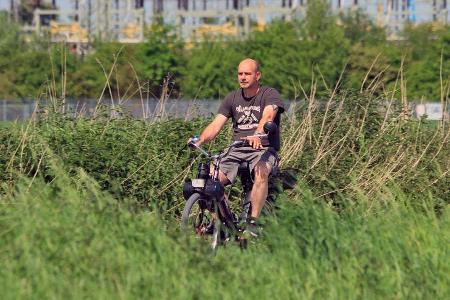 Solex 3800