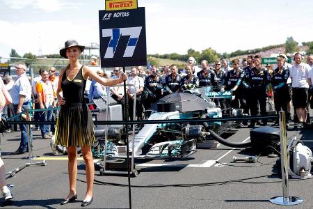Grid Girls - GP Ungarn 2017 - Budapest