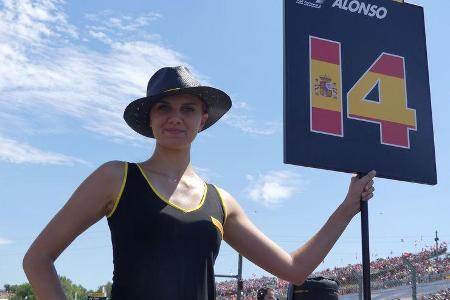 Grid Girls - GP Ungarn 2017 - Budapest