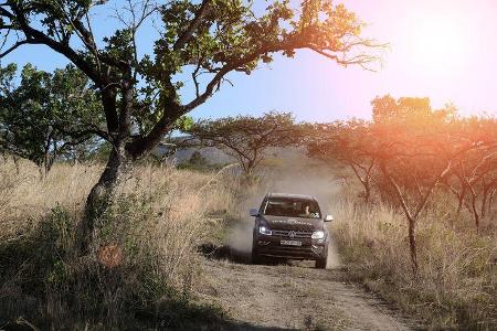 Anfang Oktober beginnt in Südafrika der Frühling