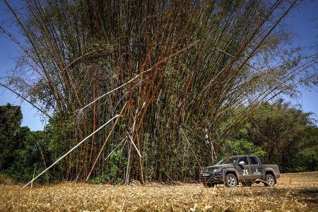 Spirit of Amarok 2018 SŸdafrika