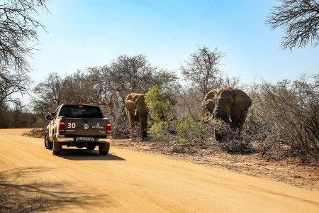 Spirit of Amarok 2018 SŸdafrika