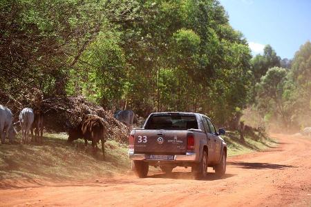 Spirit of Amarok 2018 SŸdafrika