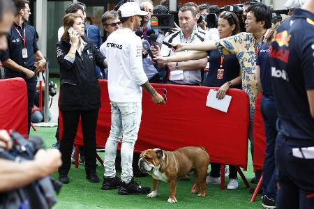 F1-Tagebuch GP Spanien 2017