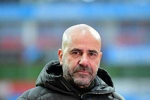 Bosz sieht Bayer "auf einem guten Weg"
