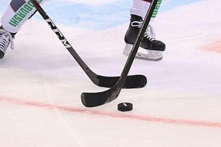 DEL: Straubing holt früheren NHL-Stürmer Tropp