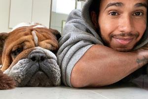 Lewis Hamilton und Mercedes: Was steckt hinter dem Einjahresvertrag?