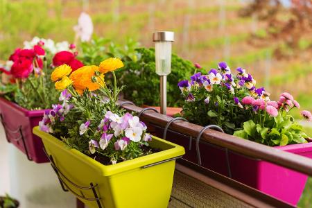 7_Bepflanzung Fotolia_116808093_annanahabed.jpg