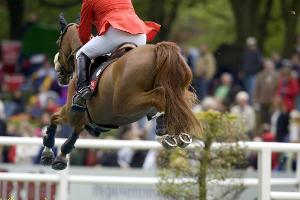 Reiten: Weltcup-Finale in Göteborg wegen Herpes-Virus abgesagt