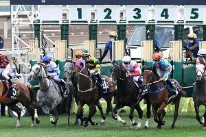 Posen auf totem Pferd: Irischer Jockey sorgt für Skandal