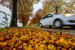 Autofahren im Herbst: Worauf Sie jetzt achten müssen
