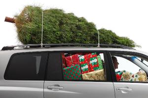 Weihnachtsbaum transportieren: So ist die Ladung sicher
