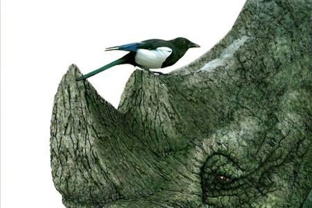 Kreuzung zwischen Nashorn und Baum